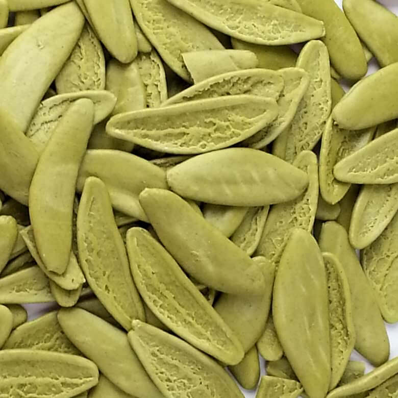 Picture of Olive Leaves pasta