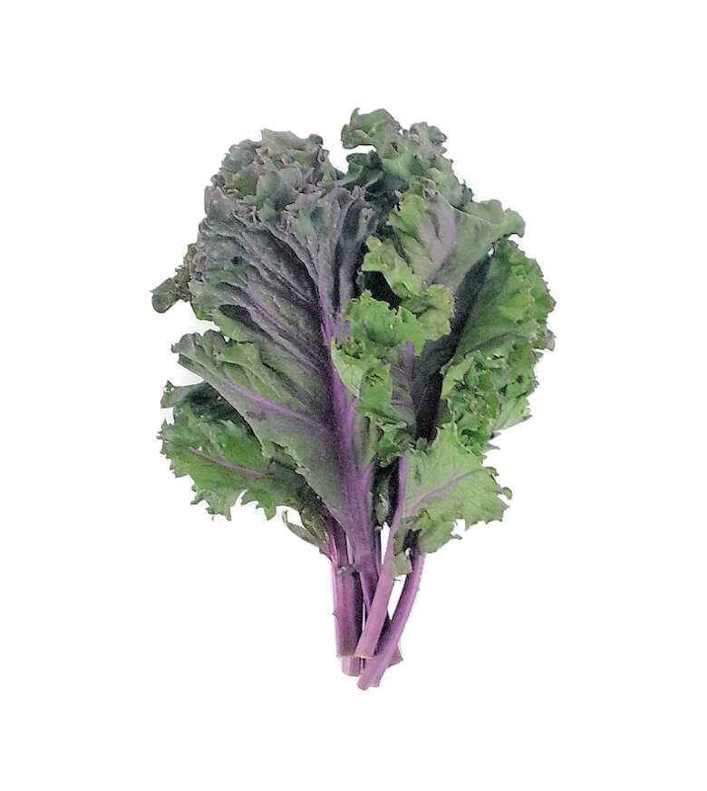 Picture of leaves of Red Kale