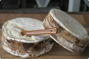 Picture of harbison cheese