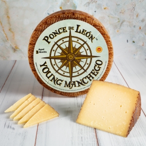 Picture of manchego cheese 3 month
